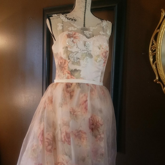 Gorgeous custom made gown - Picture 12 of 14